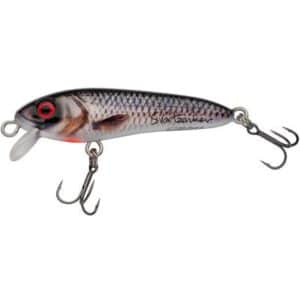 Abu Garcia Svartzonker Mccelly 70 Real Roach