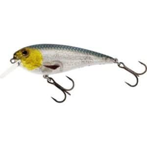 Westin RawBite Crankbait 7cm 12g Floating 3D Headlight