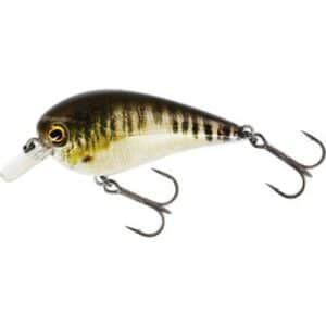 Westin BassBite 1.5 Squarebill 6cm 13g Floating Real Minnow