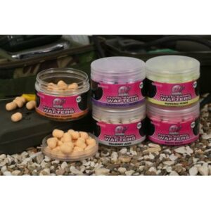 Mainline Pastel Wafter Barrels Fruity Squid