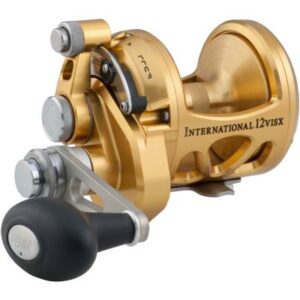 Penn International 12Visx Reel Gld