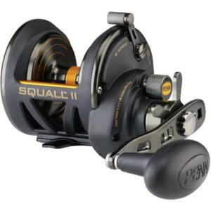 PENN Squall® II Star Drag 25Nsdlh Reel Box