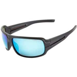 FLADEN Sonnenbrille polarisiert bifocal +2.00