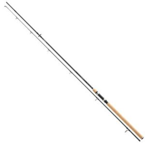 Daiwa Exceler Spin 2.70m 20-60g