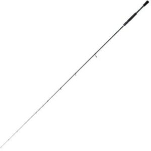 Shimano Rod Curado Spinning FAST 2