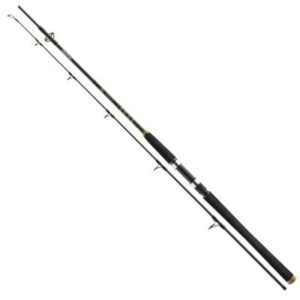 Daiwa BG Pilk 2.40m 40-125g