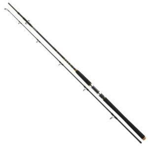 Daiwa BG Boat 2.10m 150-400g