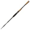 Daiwa Ballistic X Tele 3.00m 30-70g